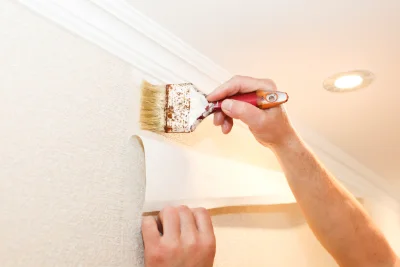 Pose de papier peint à Thollon-les-Mémises — revêtements muraux et toiles de verre